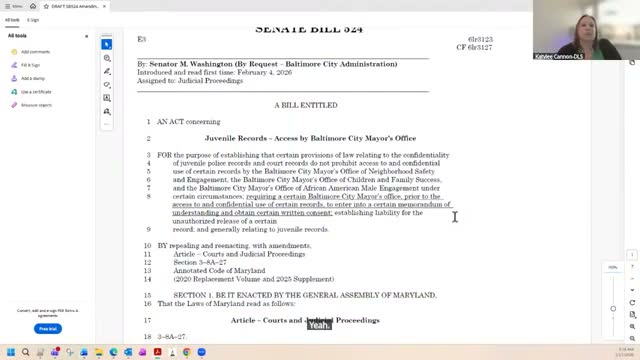 Delegation debates SB 524: mayoral youth programs, MOUs and parental consent for juvenile records