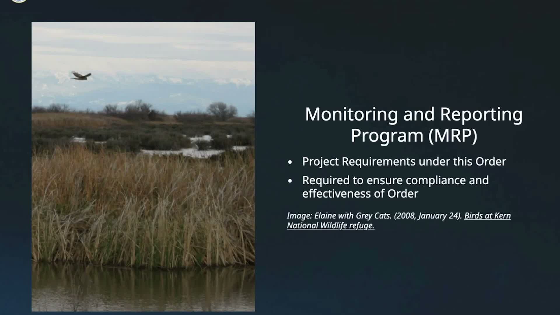 Monitoring and reporting requirements detailed for water‑quality order