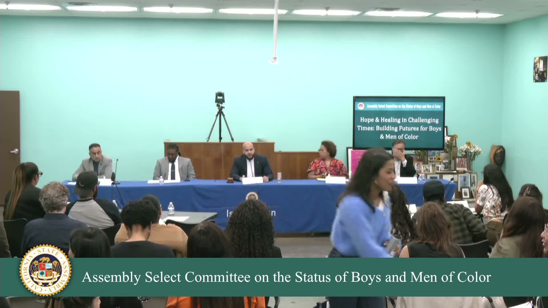 Assembly select committee hears youth and advocates call to divest probation and invest in community programs