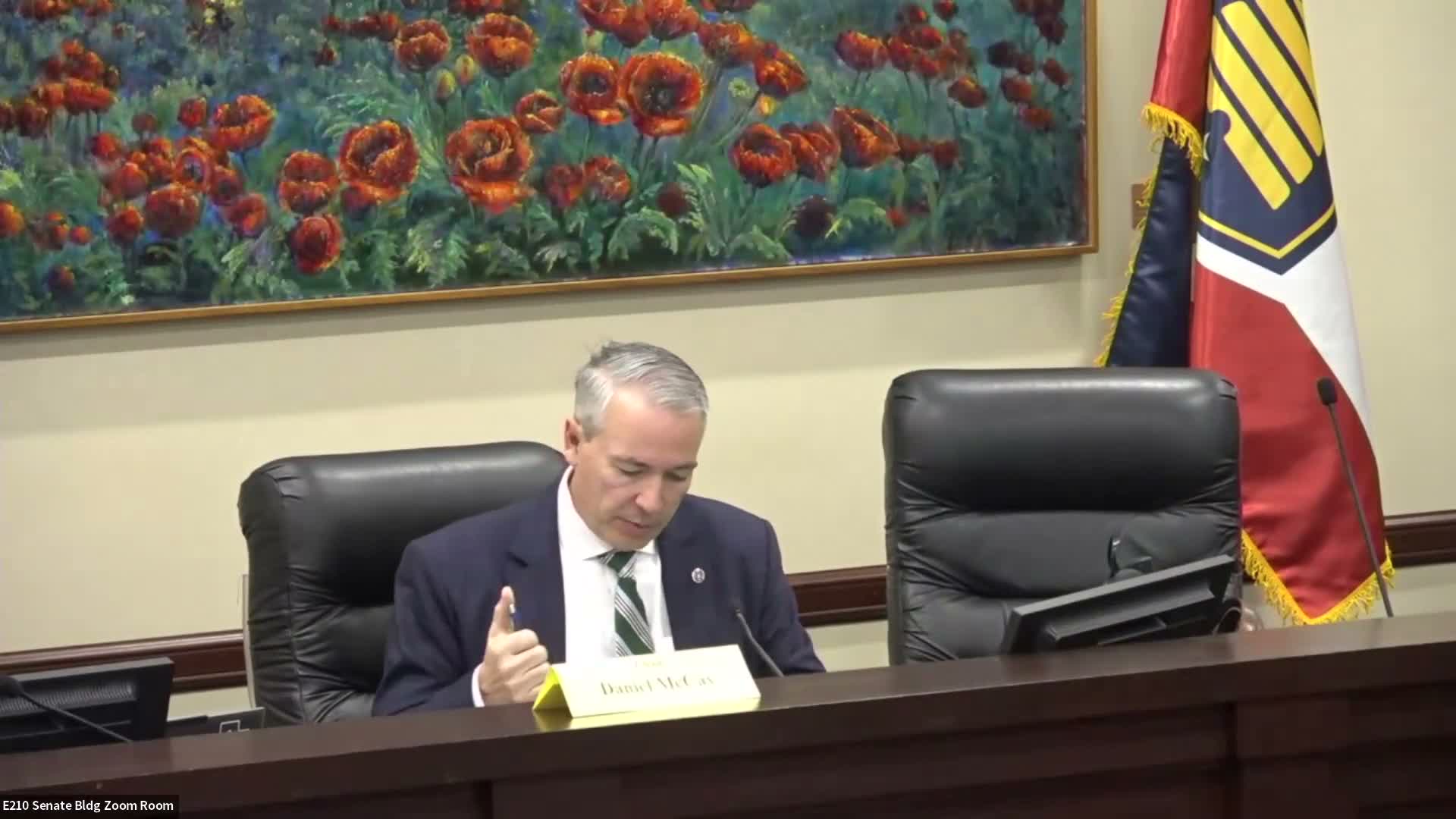 Wildlife‑crossing funding proposal paused after committee questions over $2M TIF transfer