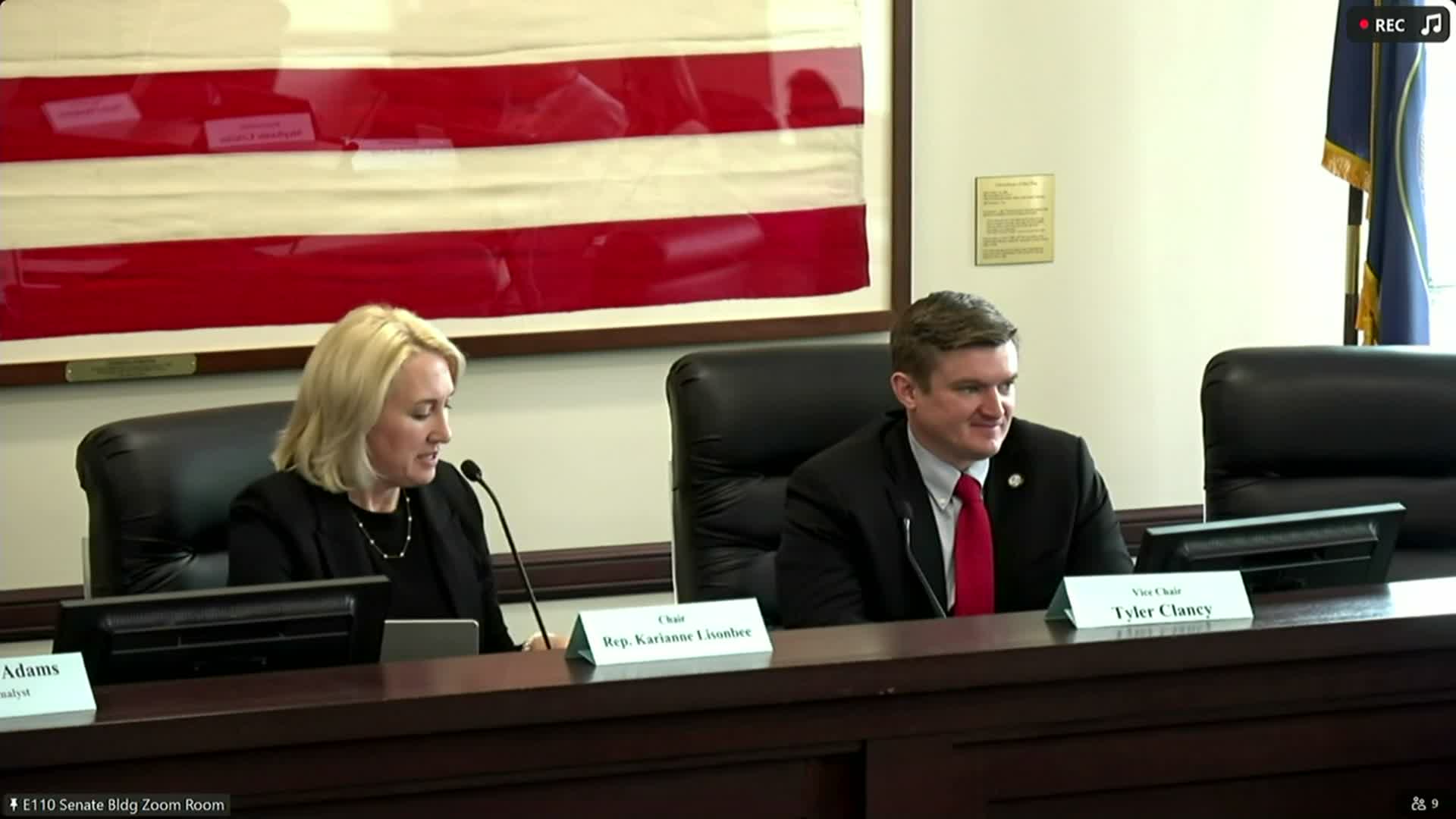 Committee approves bill extending incompatibility rules for local officials