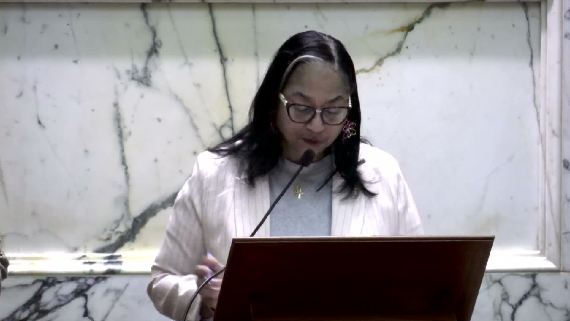 House adopts amendments to Metro funding bill after floor debate over $145.1 million reallocation