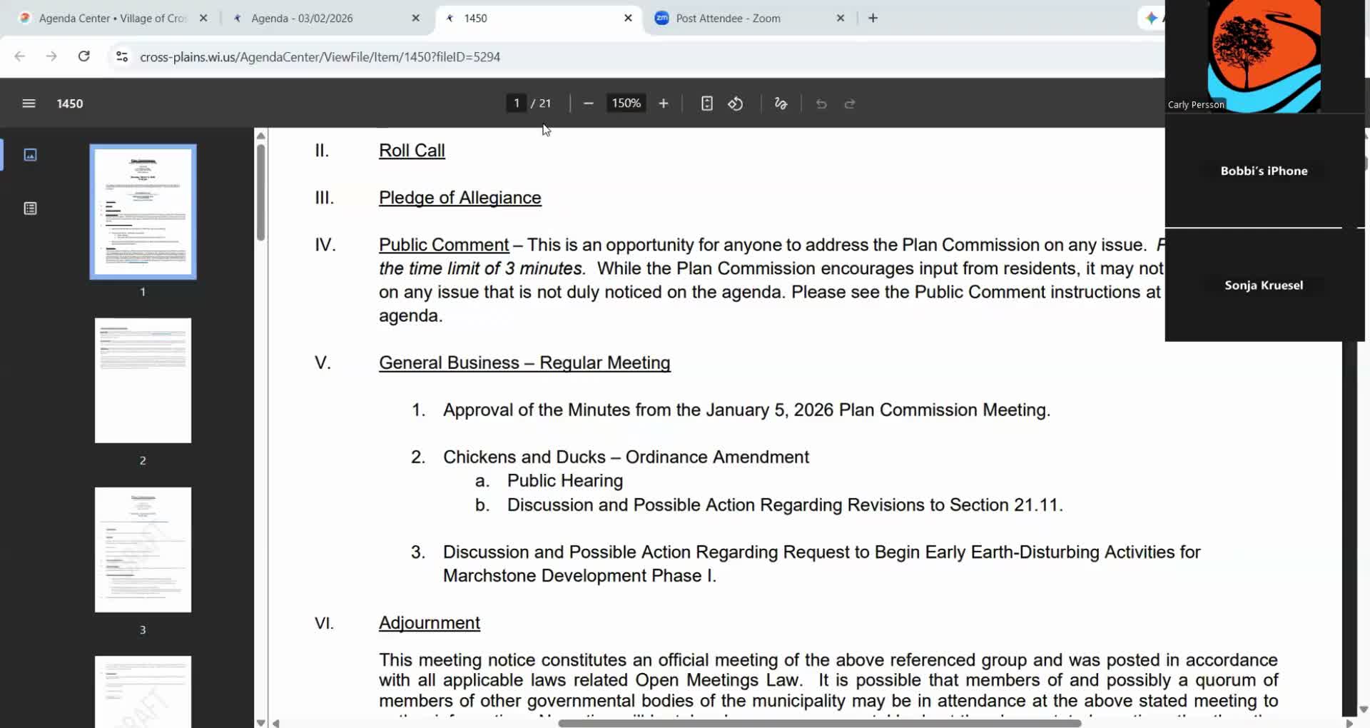 Plan Commission votes to amend Village chicken and duck ordinance