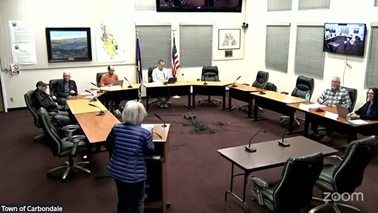 Carbondale commission narrows 2026 traffic‑calming pilot list and prioritizes Village Road safety fixes