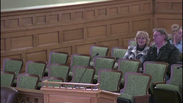 Public testimony centers on city manager search, bridge lease complaints and immigration resolution