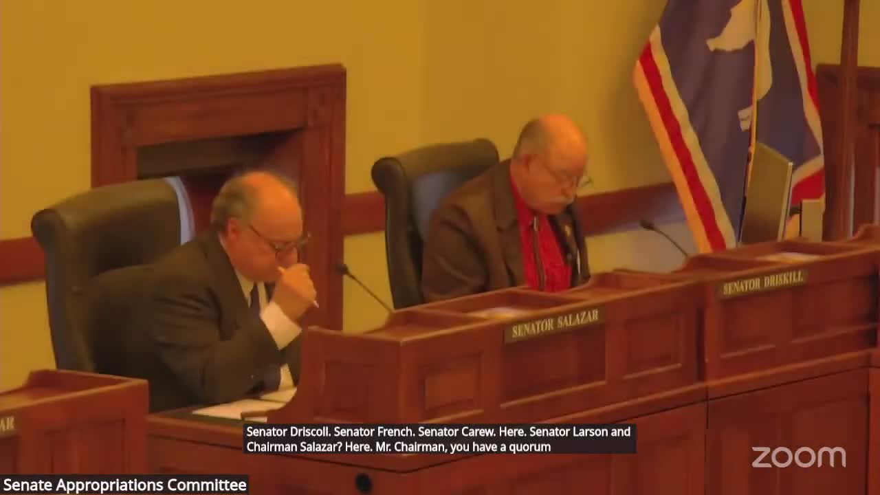 Senate committee gives do-pass to Wyoming Granite Act after author and sponsor outline 'sword and shield' against foreign censorship rulings