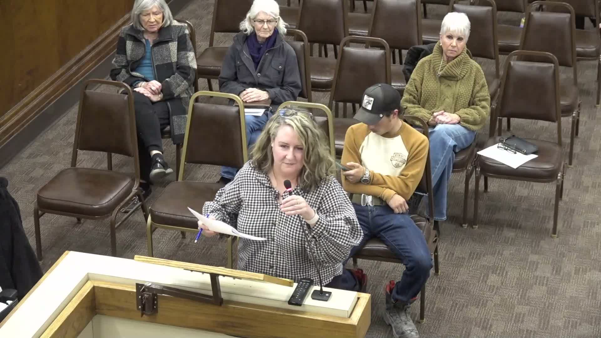 BLDC presents five-year strategic plan to council, outlines business recruitment and workforce goals