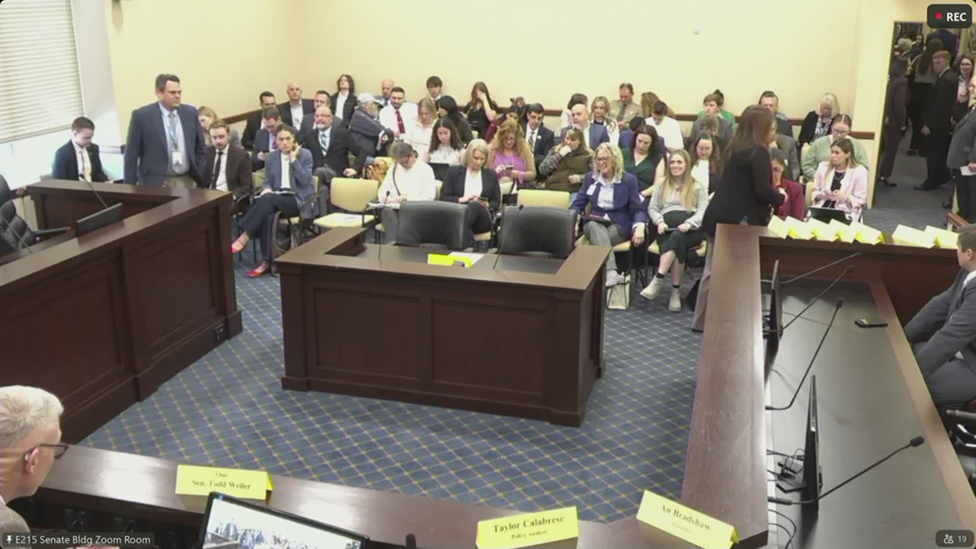 Committee roundup: key committee recommendations from March 4