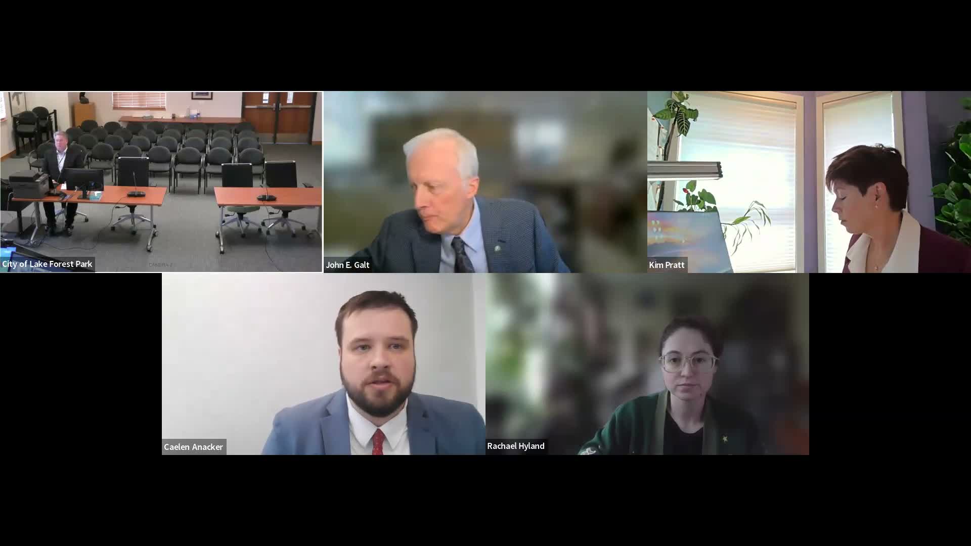 Expert says wetland ratings and mitigation fall short; warns project risks 'no net loss'