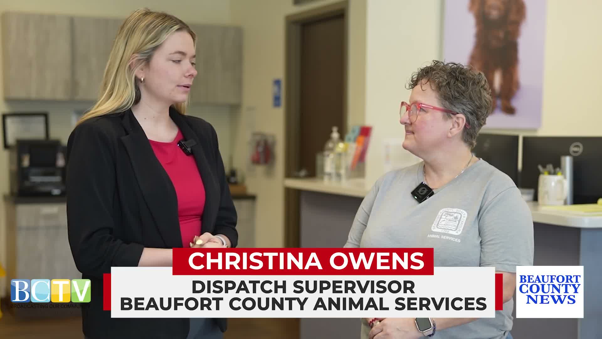 Beaufort County animal shelter asks public for supplies after kennel cough outbreak