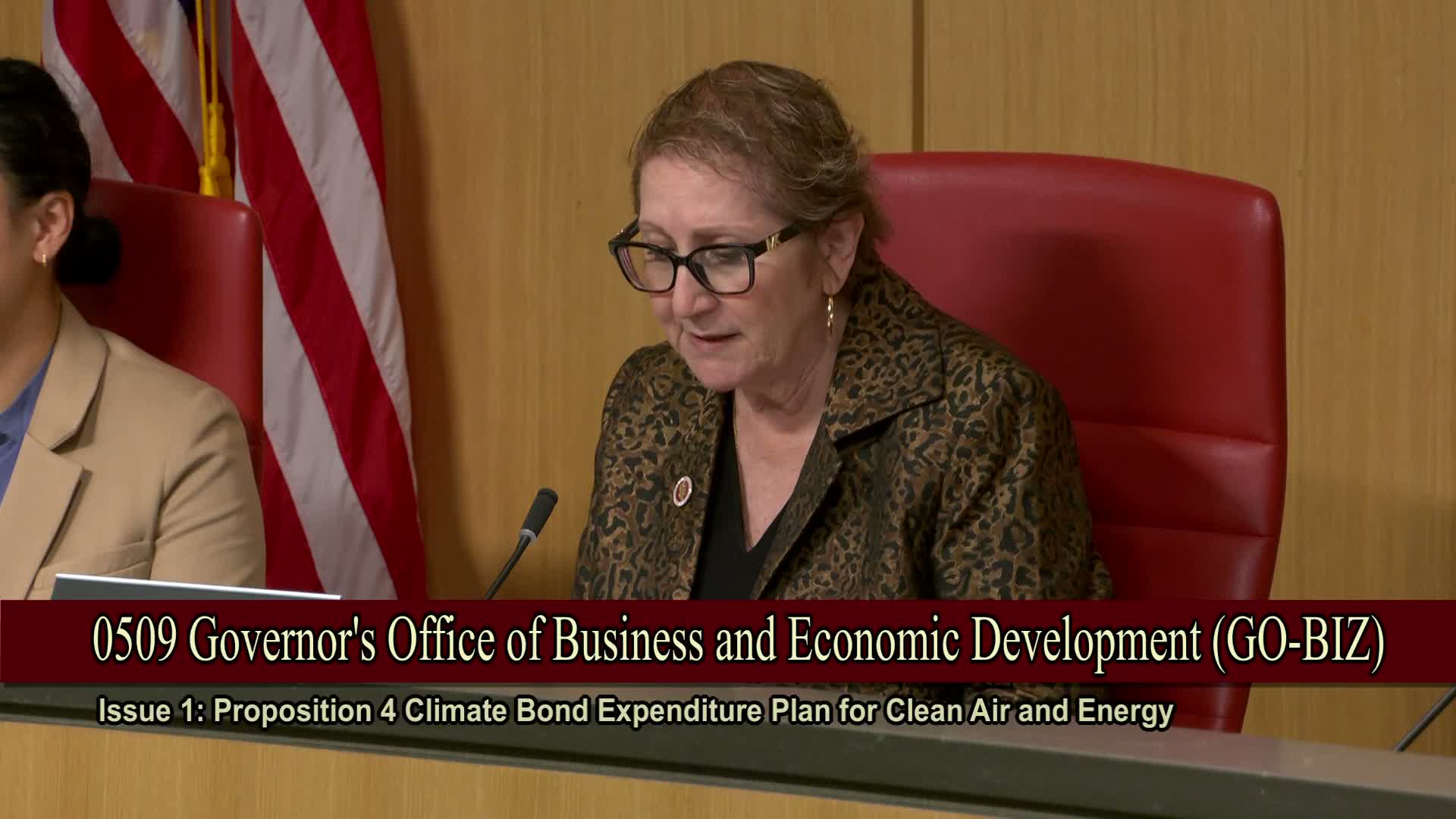 Lawmakers press agencies on shifting CalSHAPE and DBA funds to demand‑response programs; stakeholders urge preserving DSGS and extending school funds