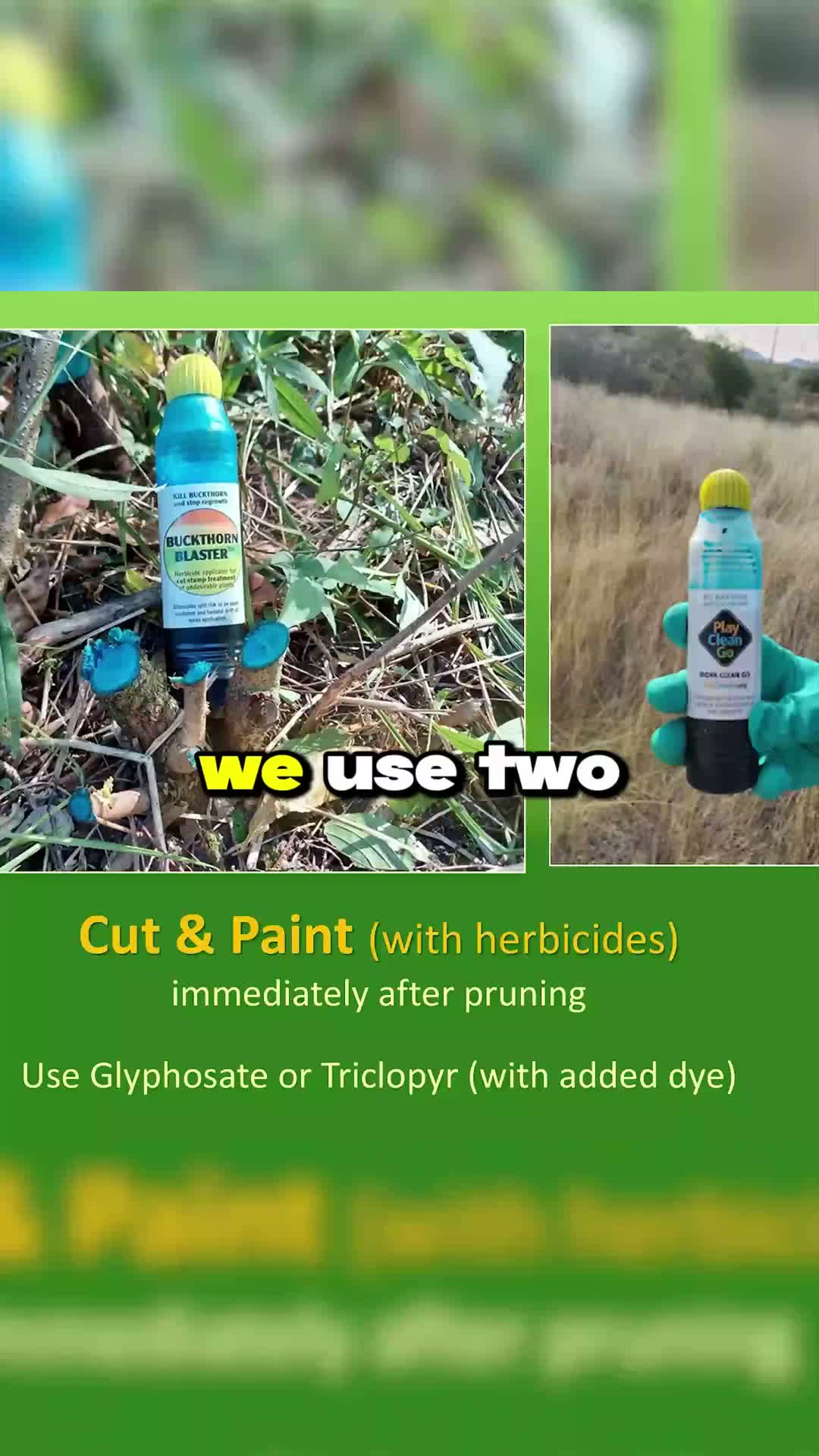 Resident urges limited, one-time herbicide use to control invasive plants