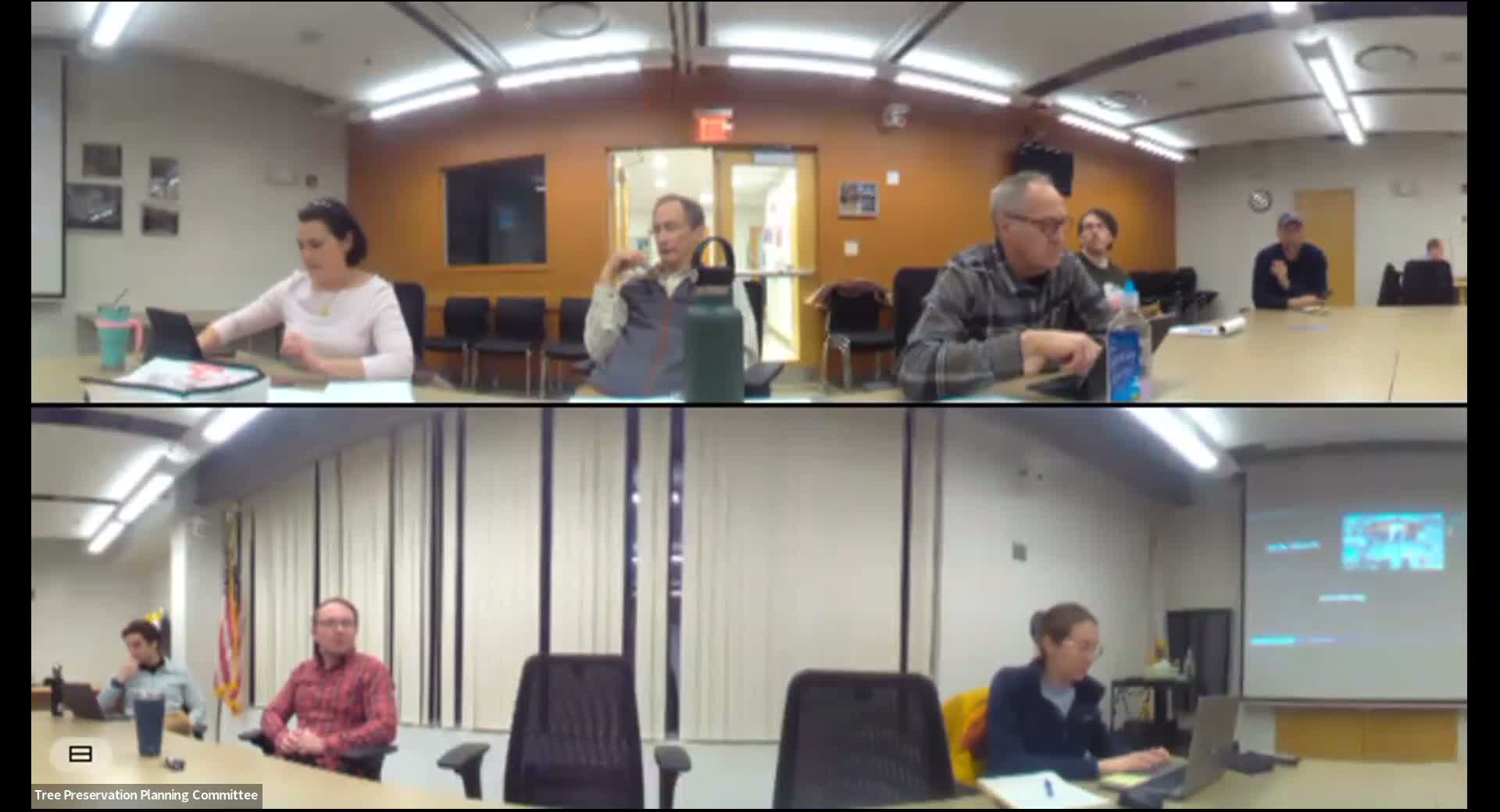 Needham committee backs 2x credit for preserved trees, 3x for replants and recommends $300 mitigation fee