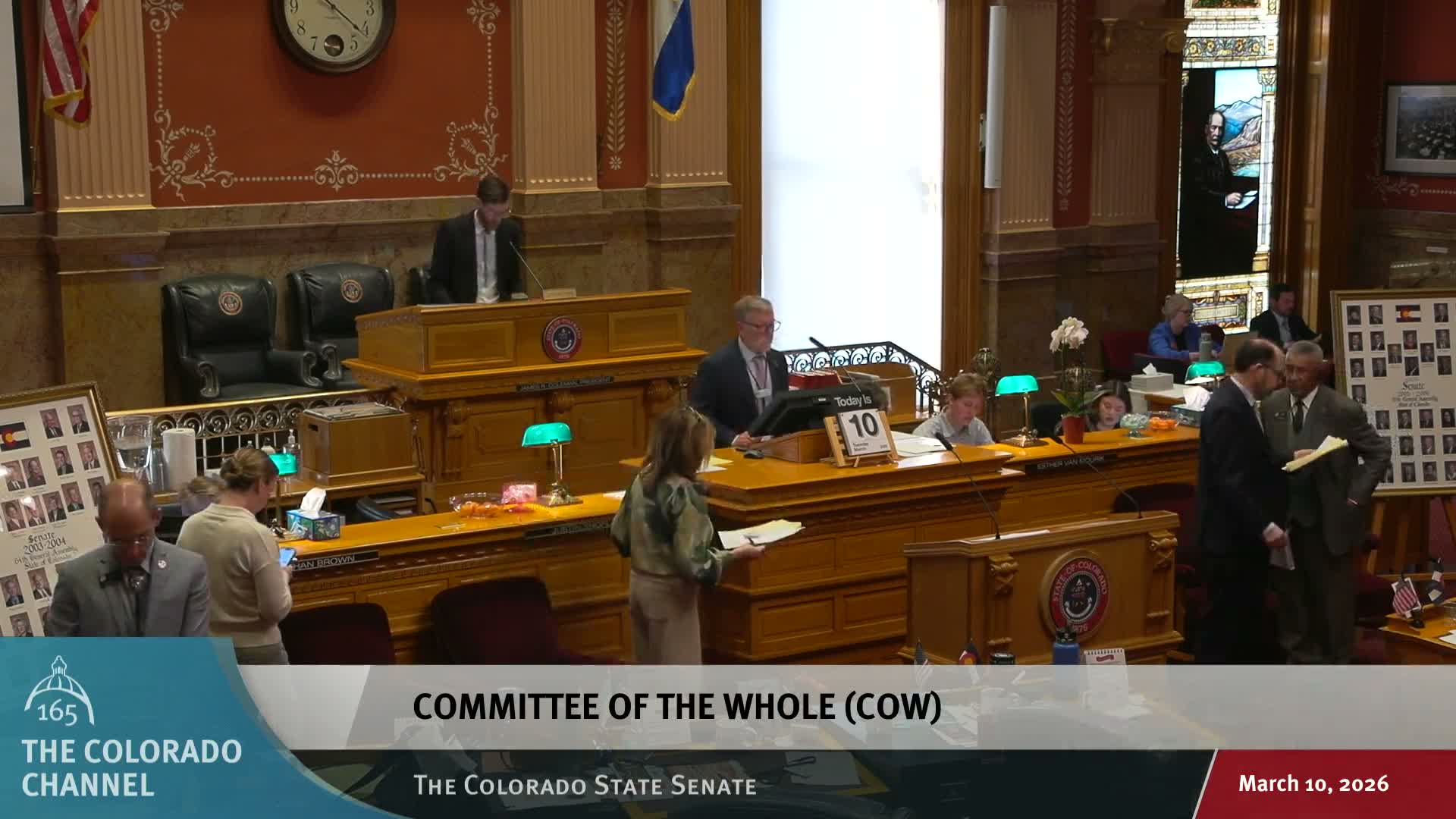 Senate approves bill to remove sterilization authority for people with disabilities after amendment