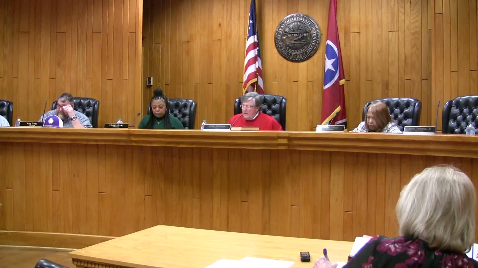 Ripley board delays vote on resolution to designate local artist’s ladder as the city’s official tool