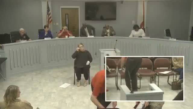 Council approves consent items including appointments, weed abatements, travel and a $58,477 fire mobile unit