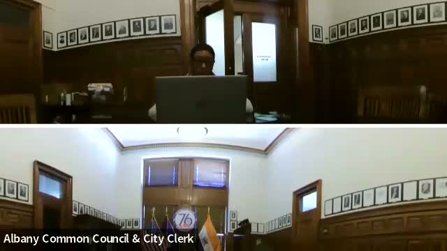 Albany hearing on adding council majority position and pay draws no speakers