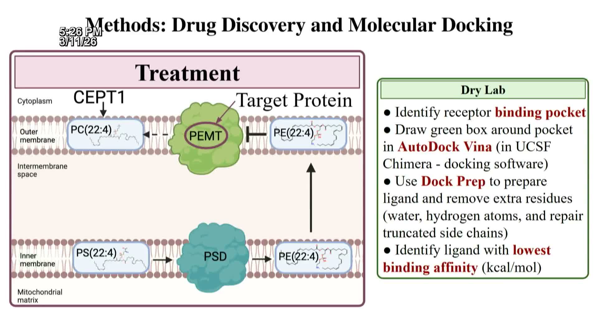 Audit of draft and revisions applied