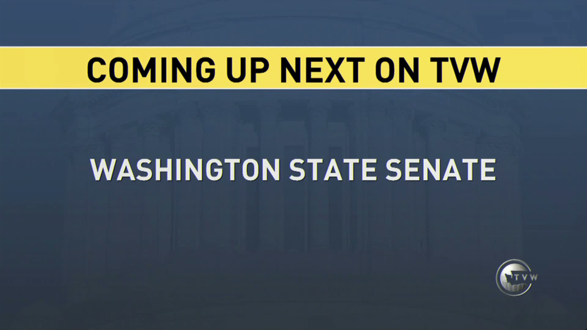 Senate clears package of bills on 60th day; bonding and policy measures win final passage