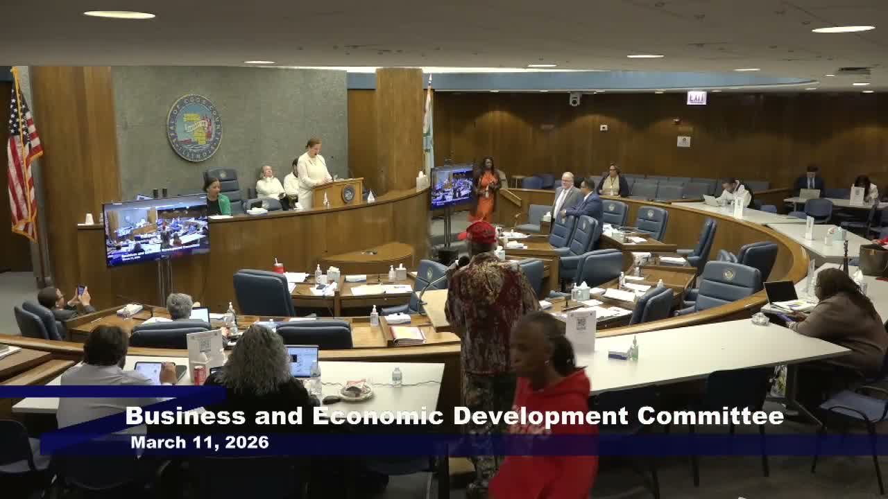 Public commenters at Cook County committee meeting urge investment in South and West sides and criticize funding choices