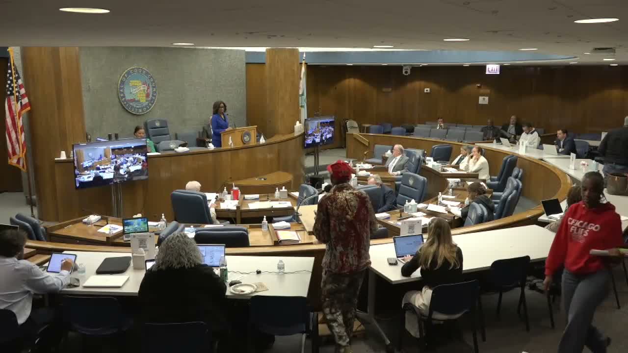 Public commenters at Cook County meeting assail immigration policy and allege property targeting