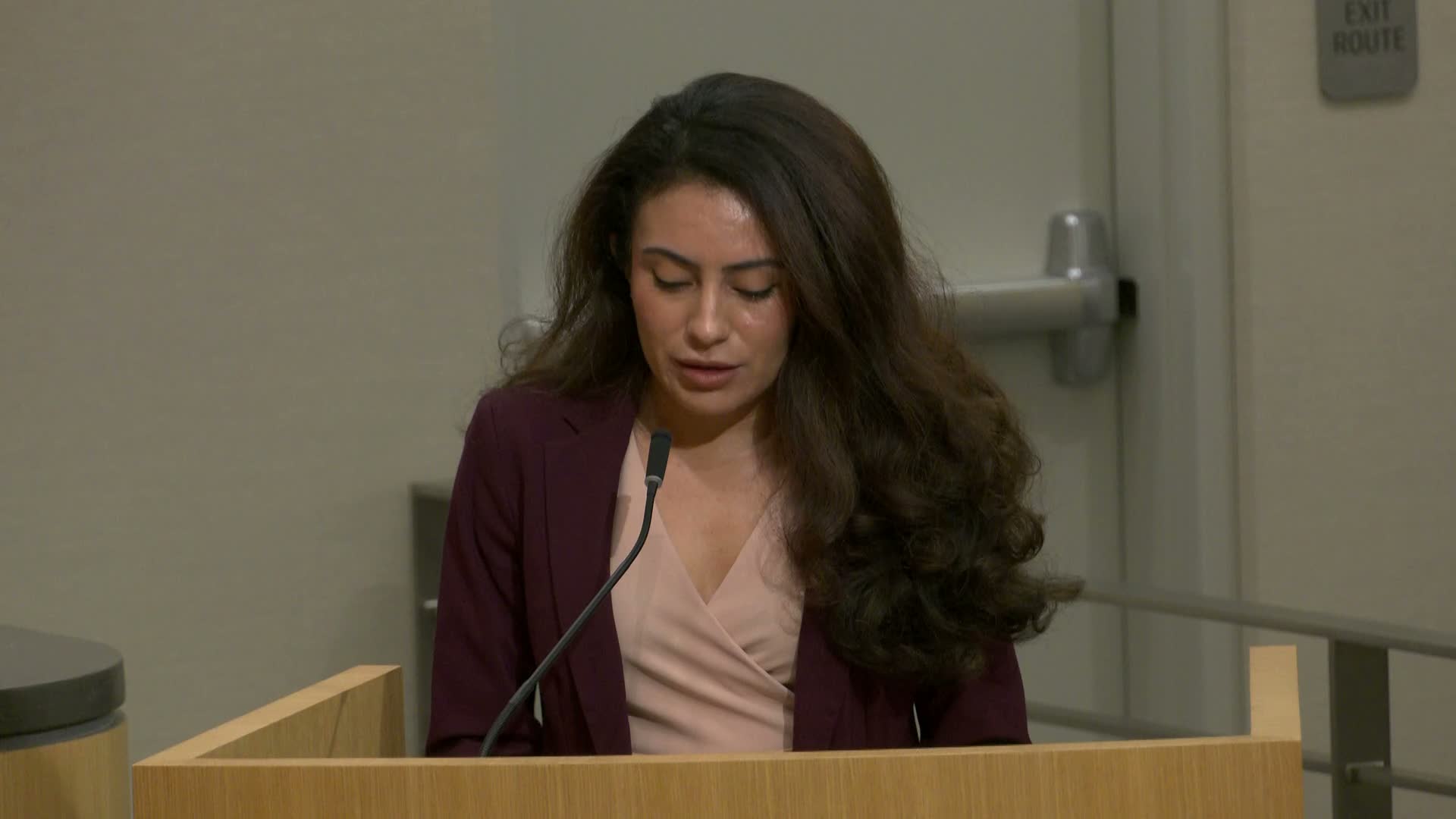 Committee advances SB 978 to require upfront payments and limit refunds for data‑center grid upgrades