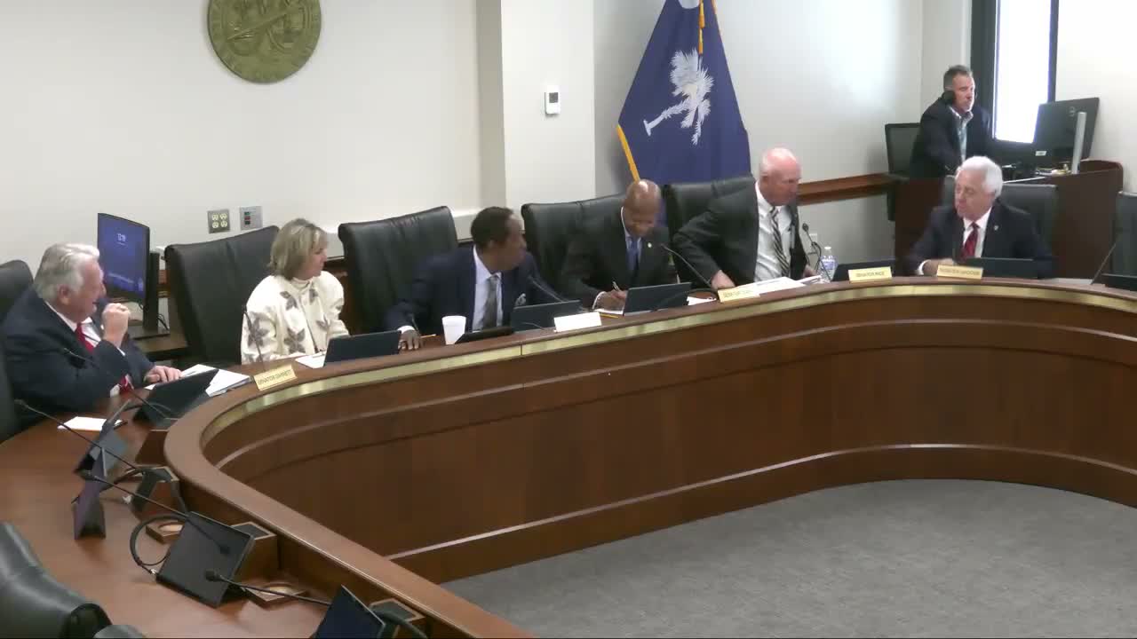 Committee member says DMV cleanup amendment adopted; suggests moving proviso deadline to March 31