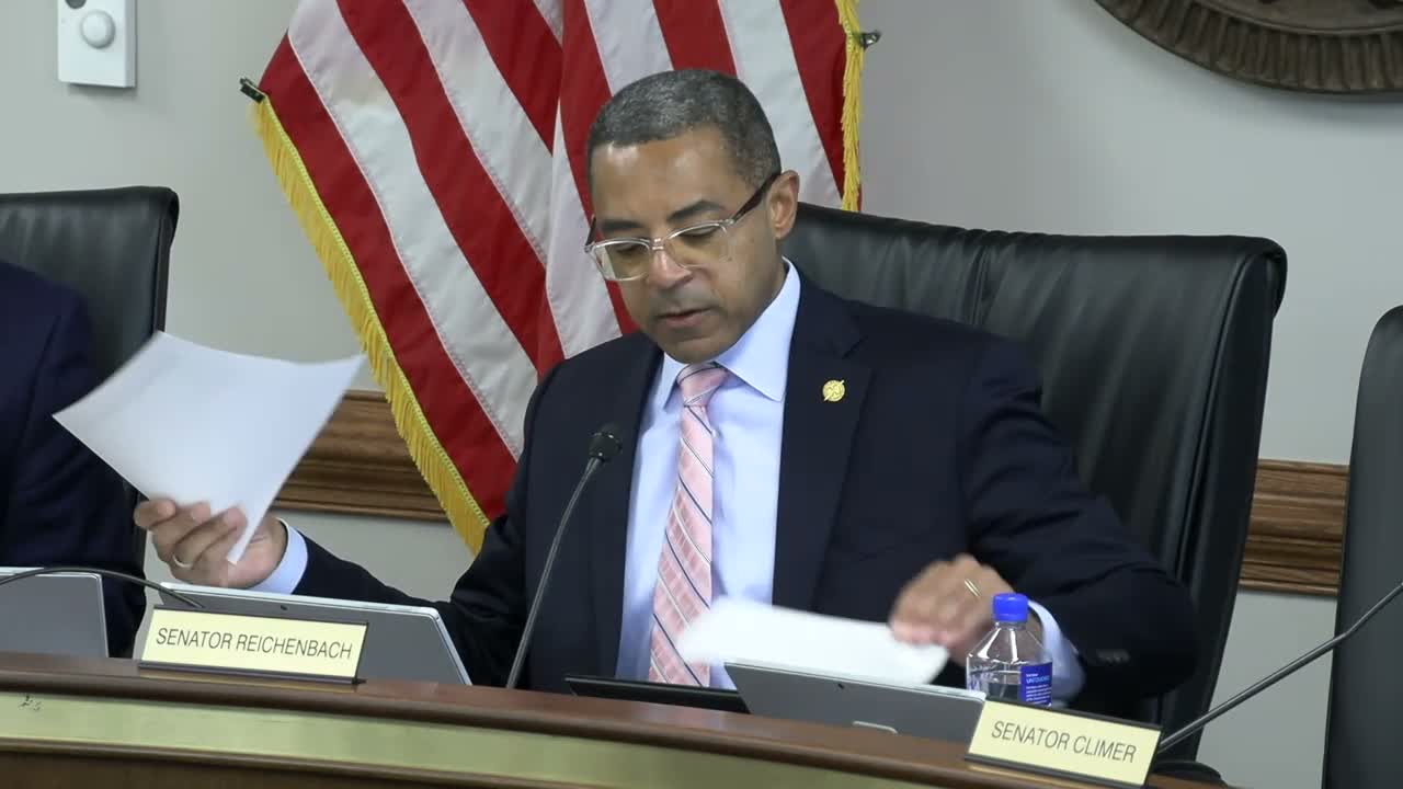 Senate subcommittee carries over bill to codify childcare scholarship program amid funding concerns