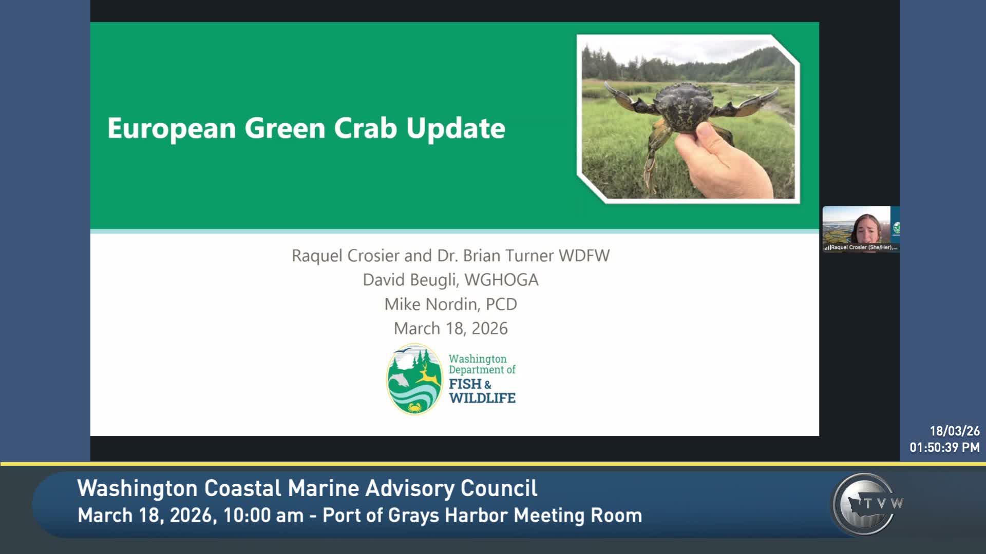 State partners report marked green crab expansion and sustained trapping in 2025