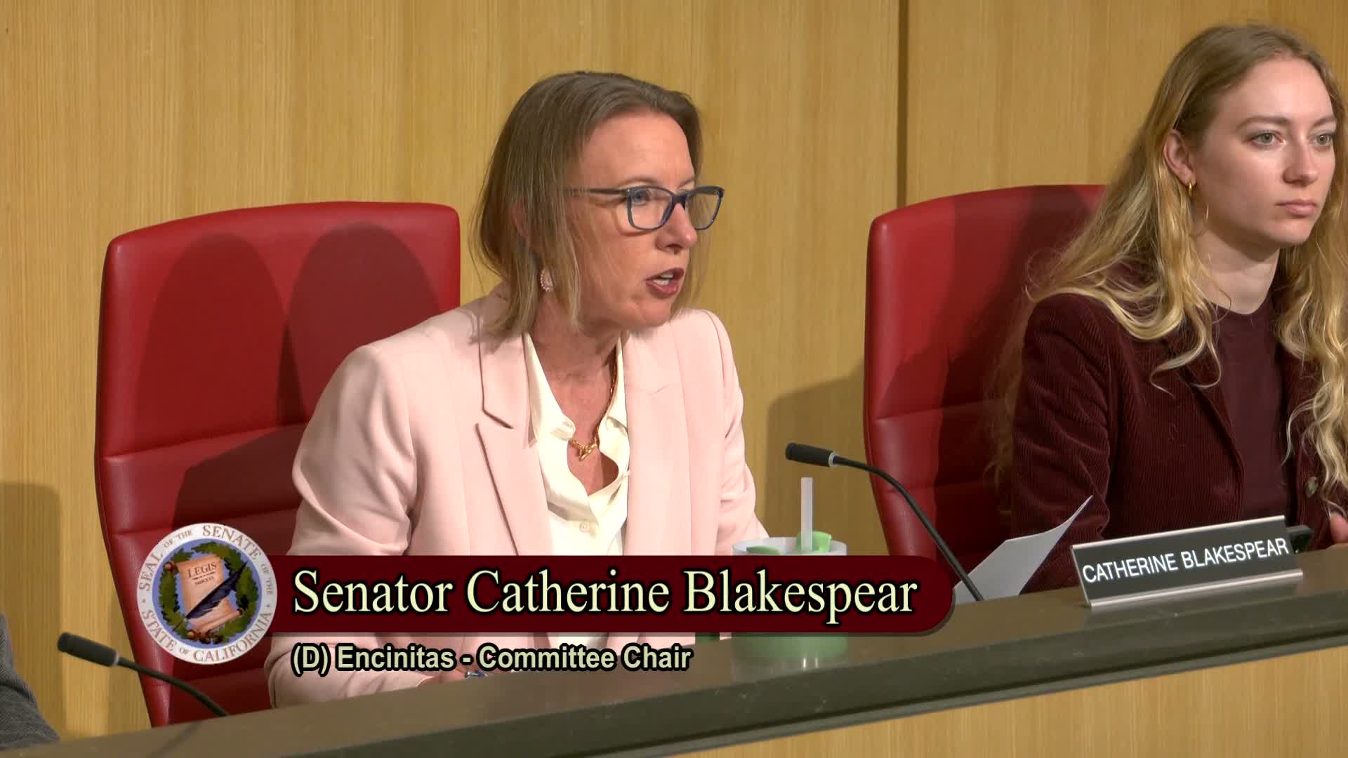 Senator McNerney backs $150 million/year to shore Delta levees, address subsidence risk