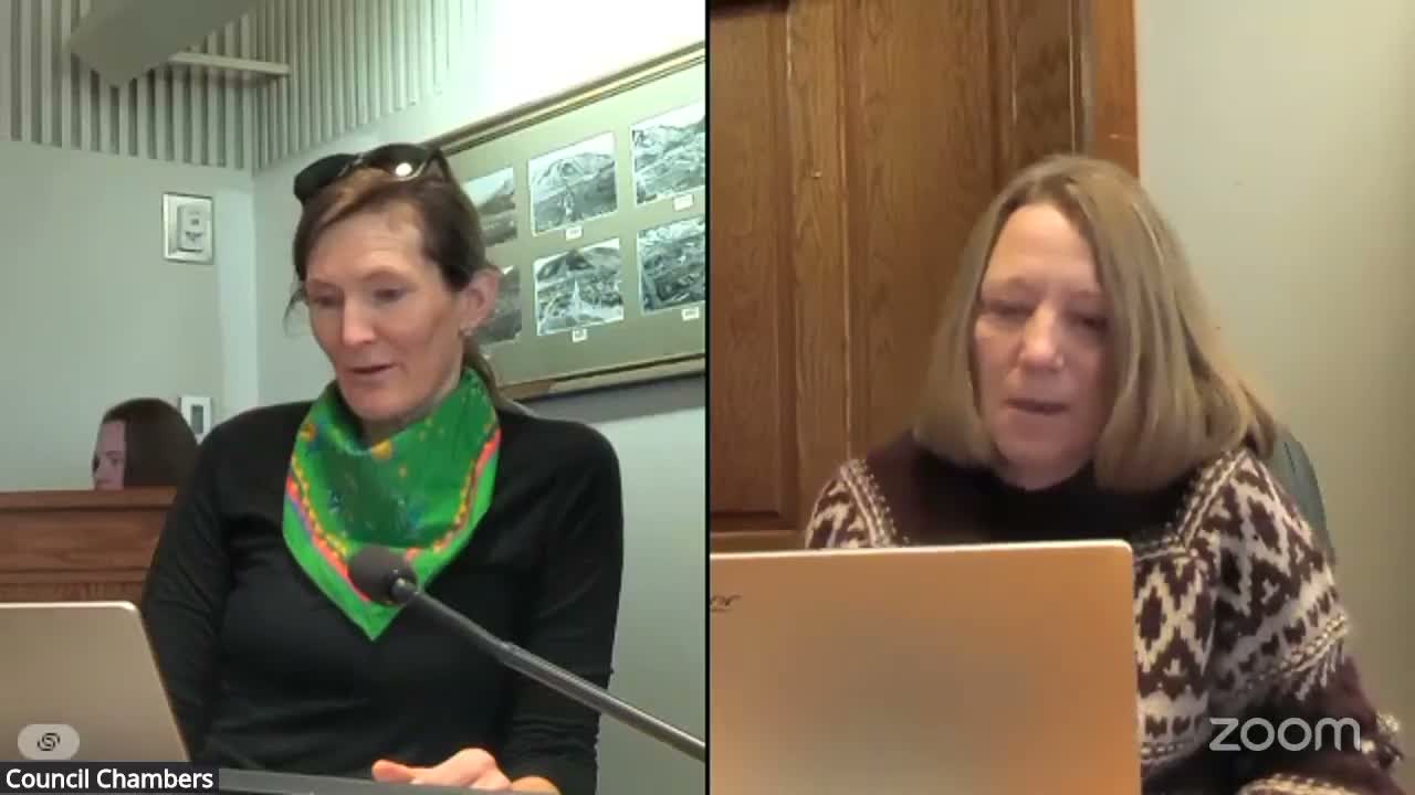 Planning commission backs text amendment to streamline string-lighting rules, sets midnight dimming