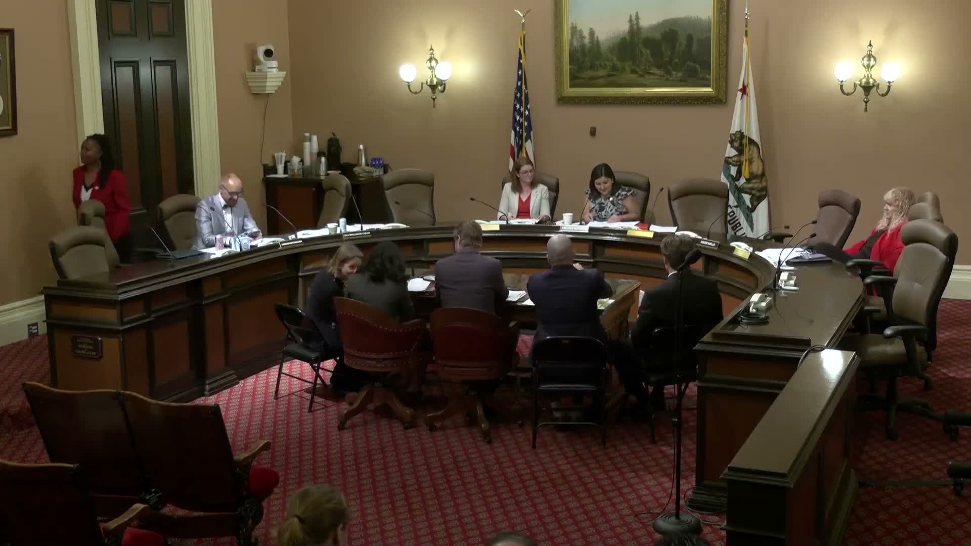 Senate panel hears sharp debate over proposed sustainable aviation fuel tax credit