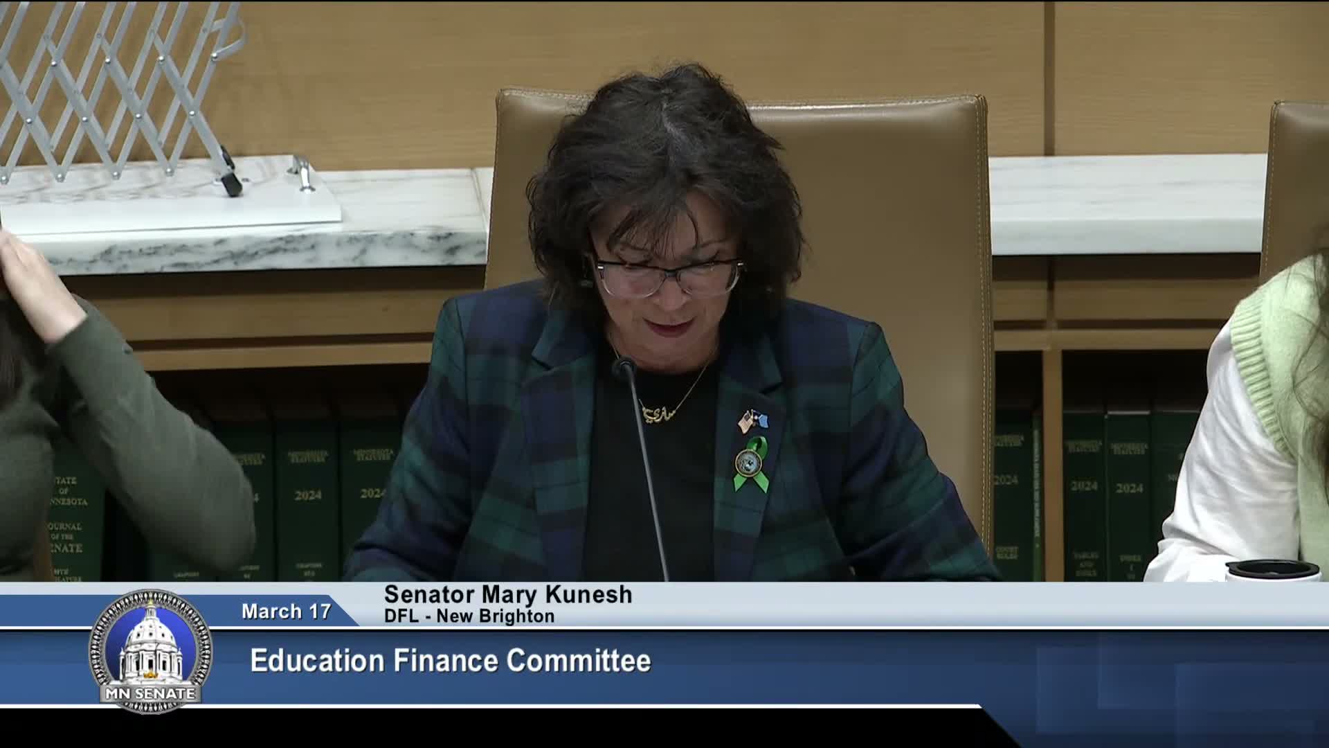 Minn. senators debate removing 'you are voting for a property tax increase' from school referendum ballots