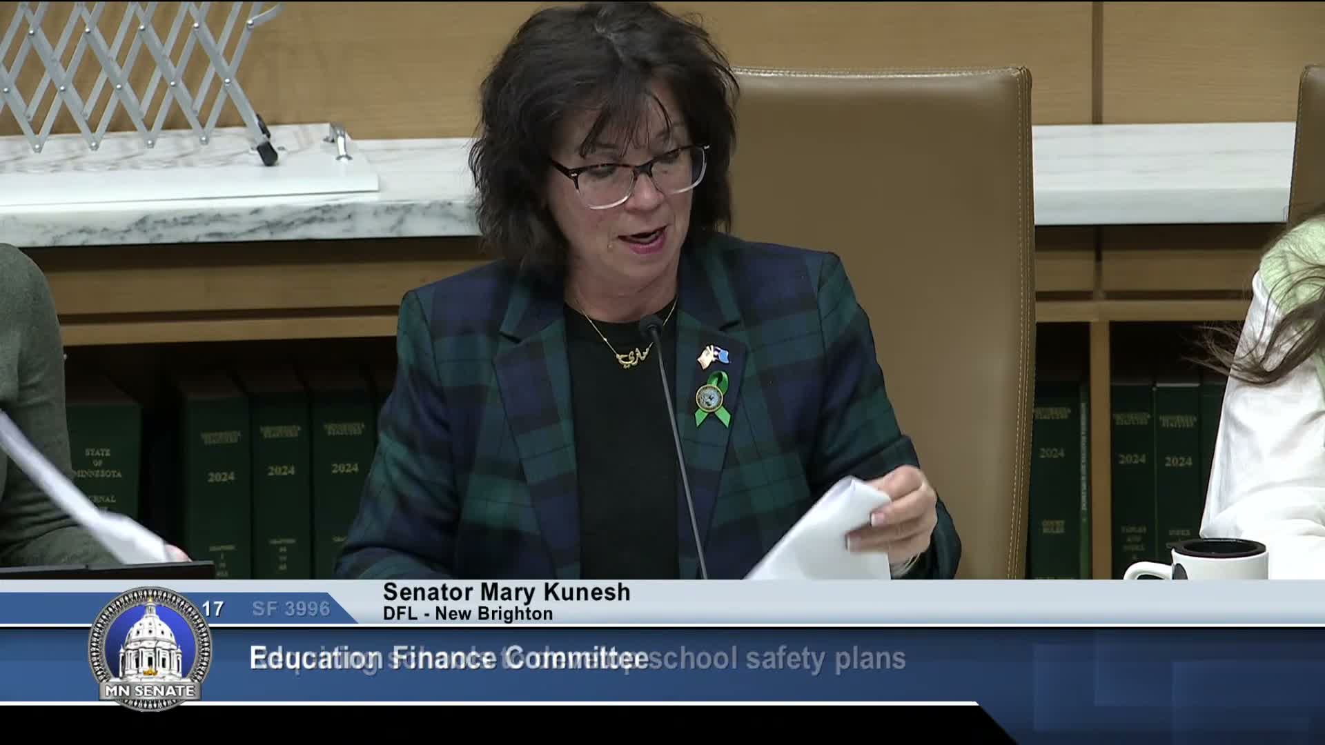 Committee lays over bill to expand counseling aid to K–6 nonpublic students amid fiscal questions