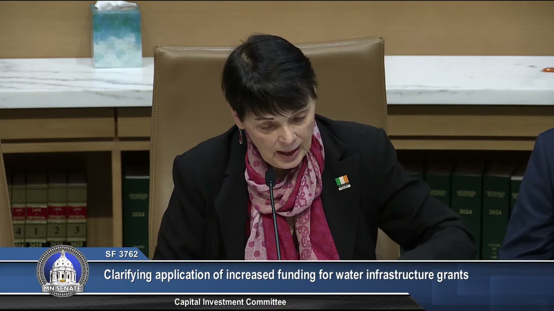 Senate panel lays over extension for Oak Park Heights transition funds