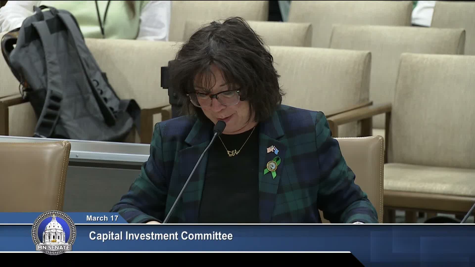 Senate committee advances bill to raise library construction grant cap to $2 million