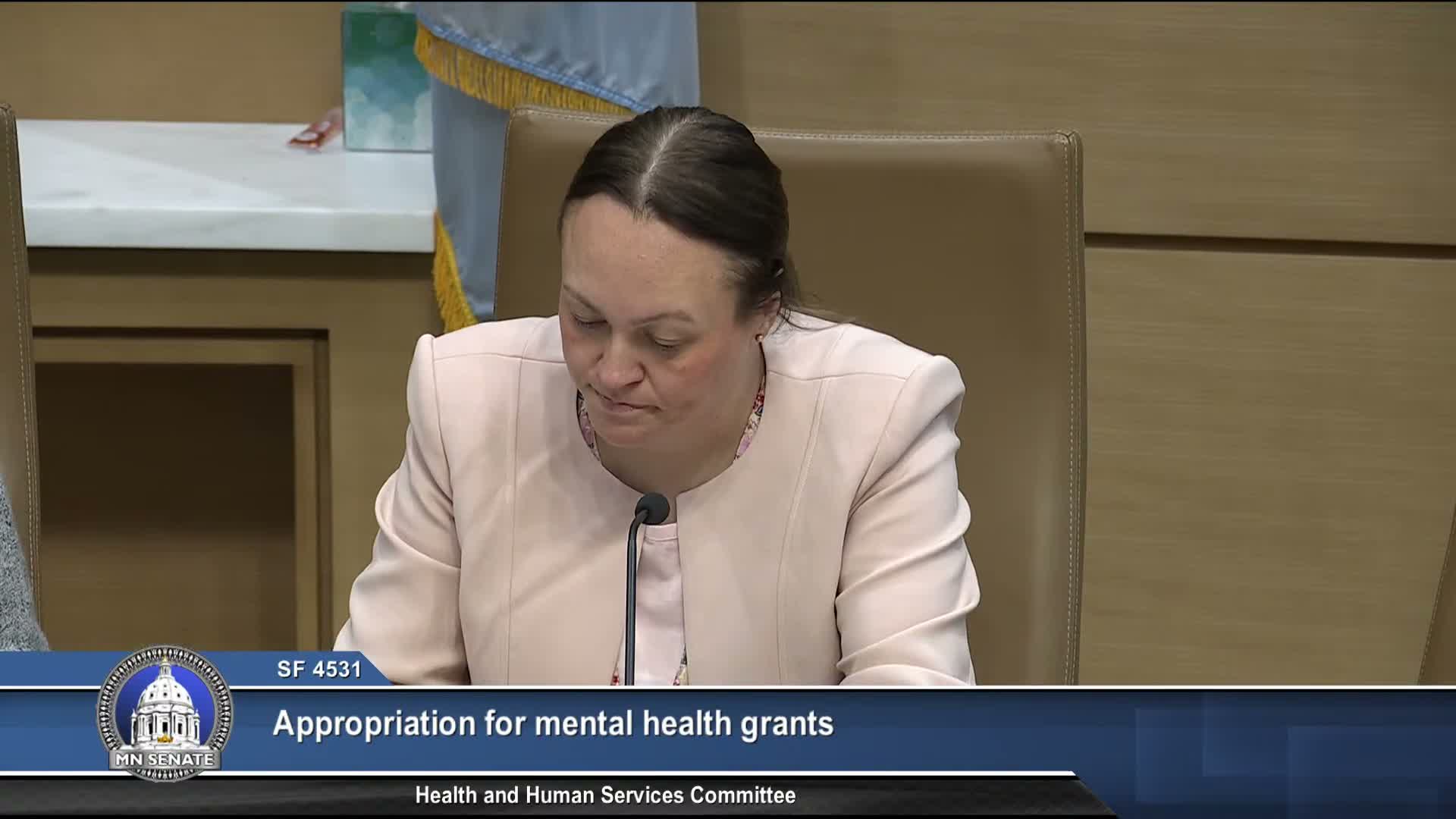 Committee advances bill to add funding to existing K‑12 and community mental‑health grants