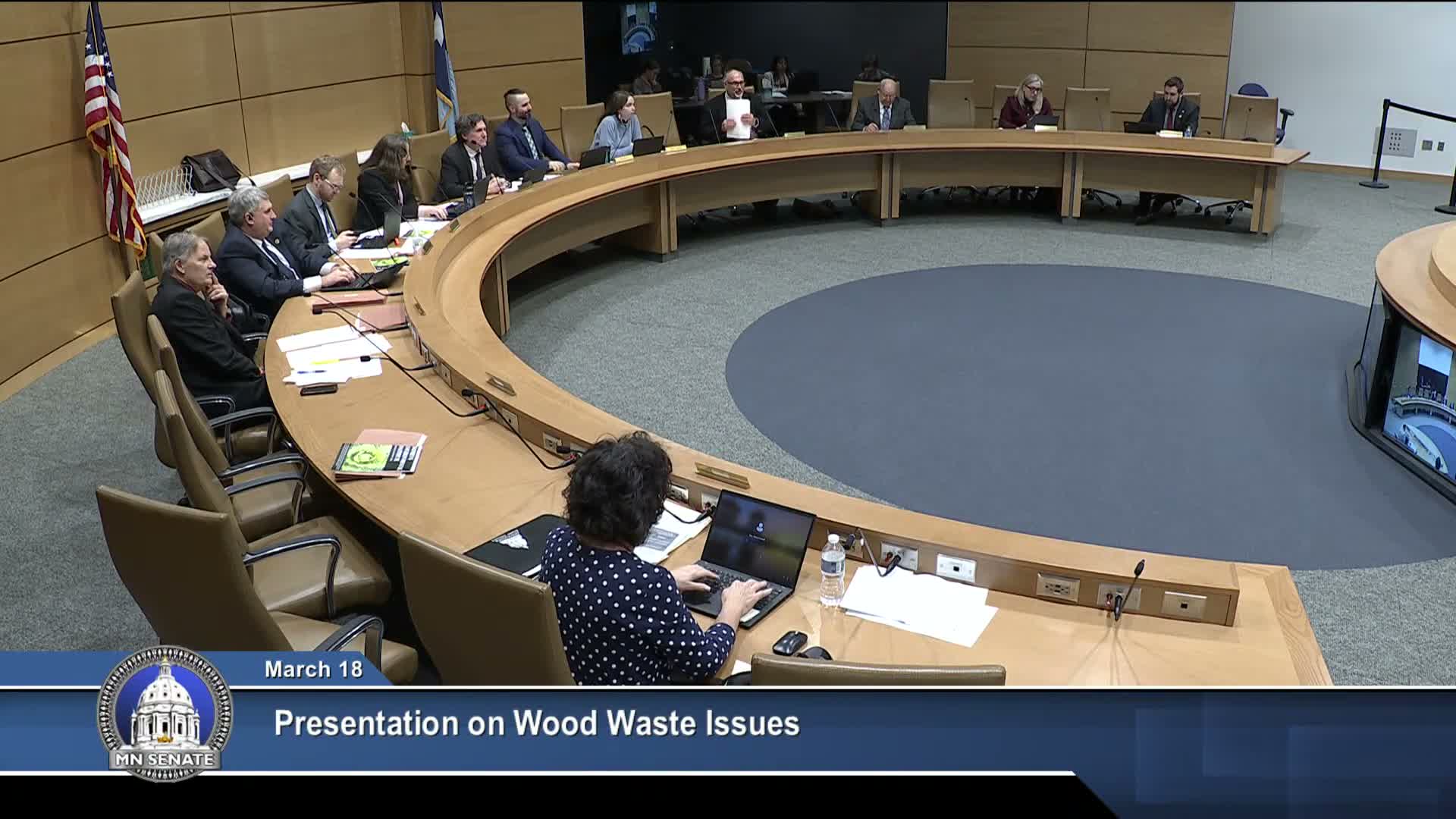 Experts warn of growing urban wood‑waste crisis as emerald ash borer spreads