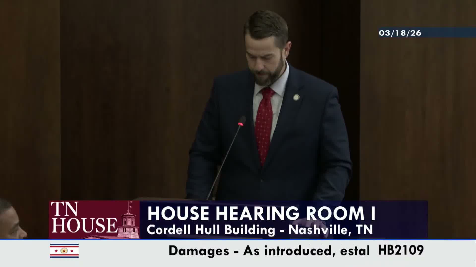 Committee forwards civil-liability bill for paid demonstrators amid debate over evidence