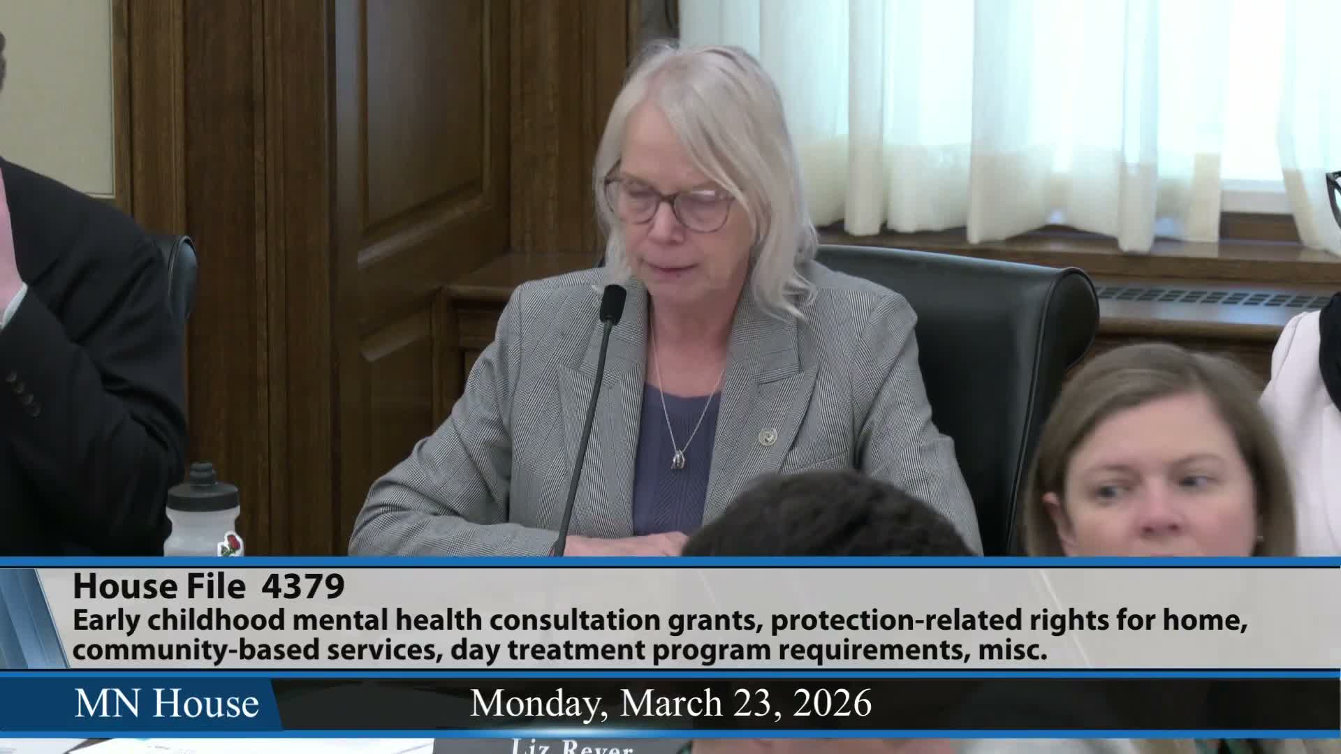 Committee hears HF 4379 to codify and expand children's mental‑health continuum; sponsors say bill builds infrastructure