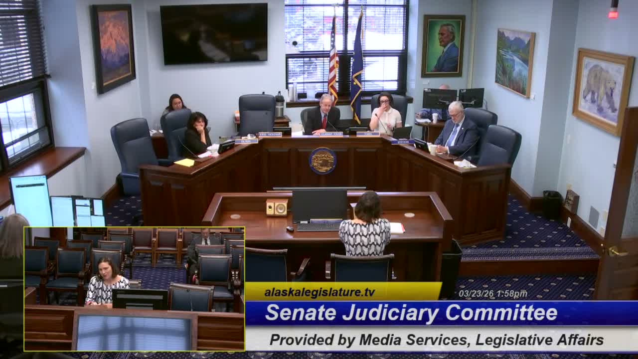 Agencies tell Senate panel HB93 would require system changes; fiscal impact for pilot exemptions "indeterminate"