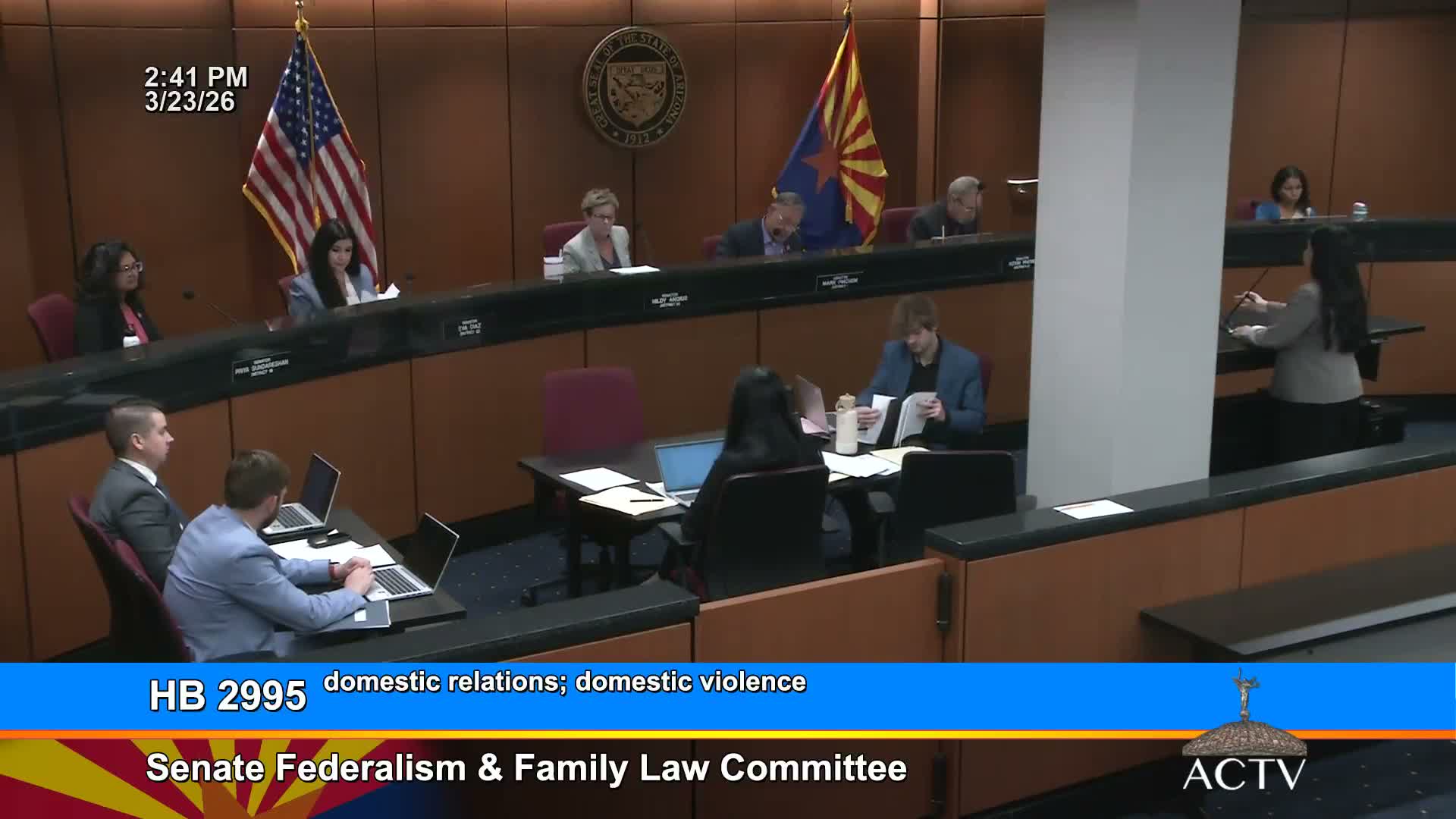 Survivors and lawyers press committee to treat domestic violence as central to custody decisions; bill advances