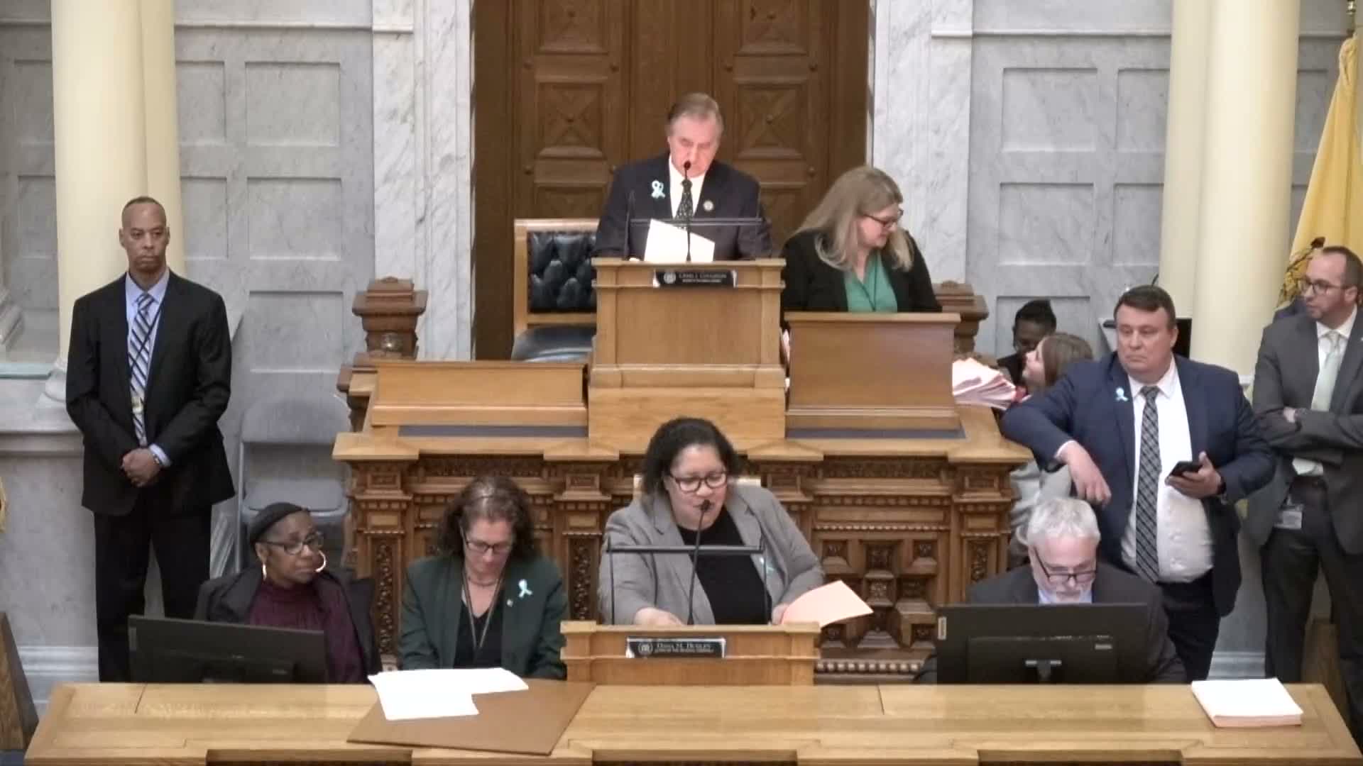 Assembly passes broad slate of bills on voting, energy, health and local projects