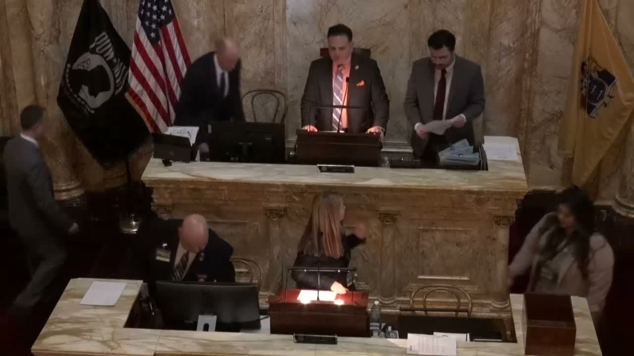 New Jersey Senate advances a package of bills — early voting, privacy, energy and safety measures pass