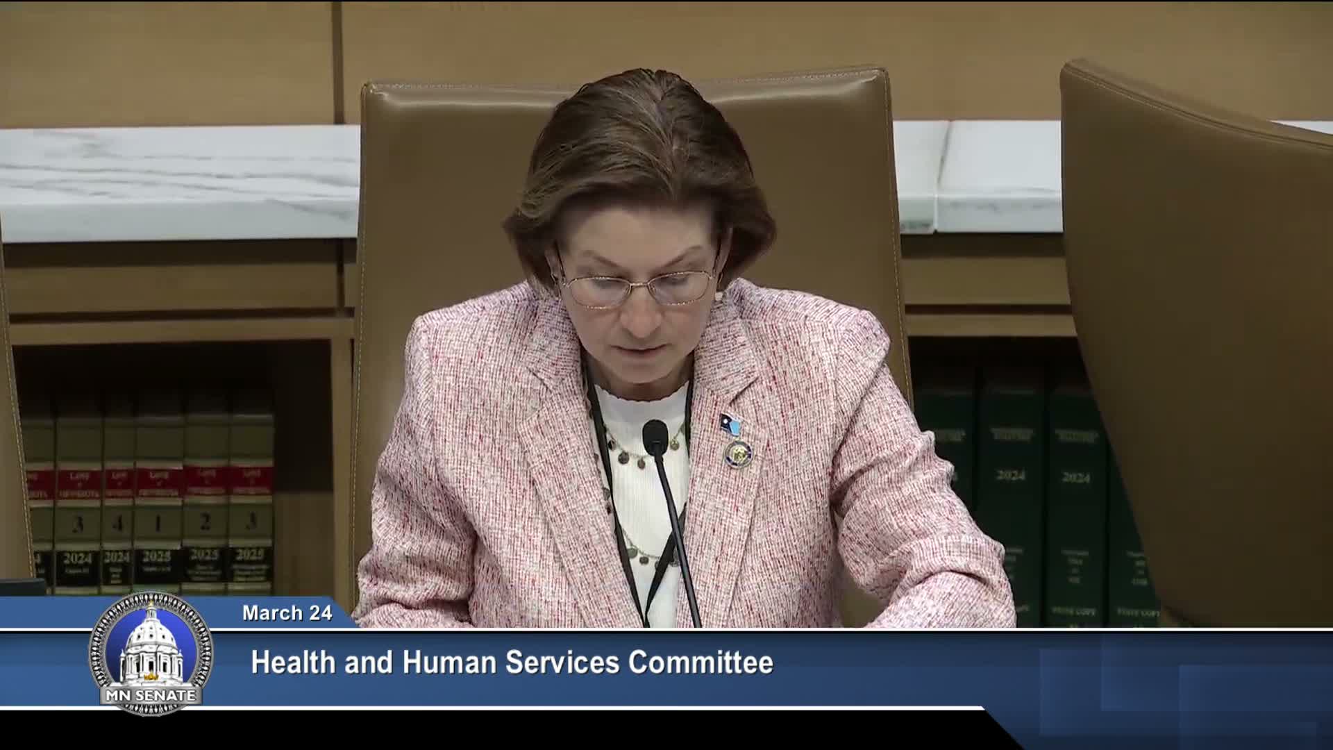 Senate hears bill to create Office of Gun Violence Prevention; committee lays it over