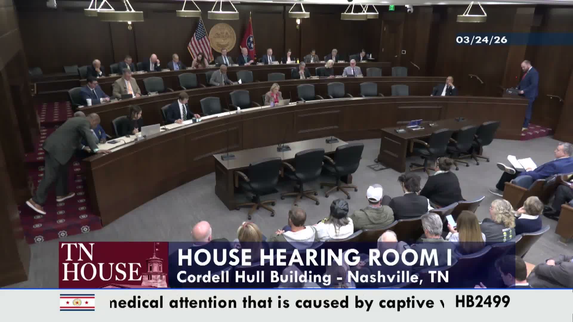 Committee waives $150 possession fee for pet raccoons; veterinary group urges caution over rabies risk