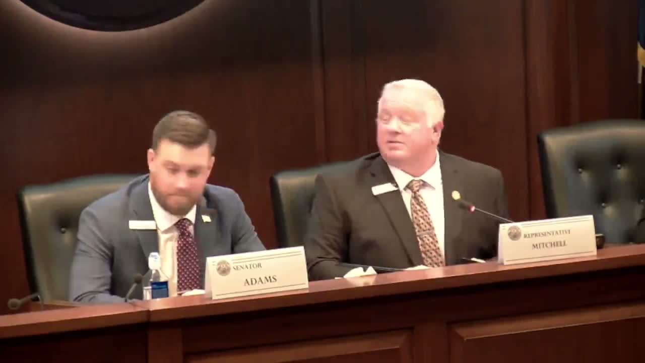 Committee outlines parade, stages and statewide exhibits for America 250 celebrations