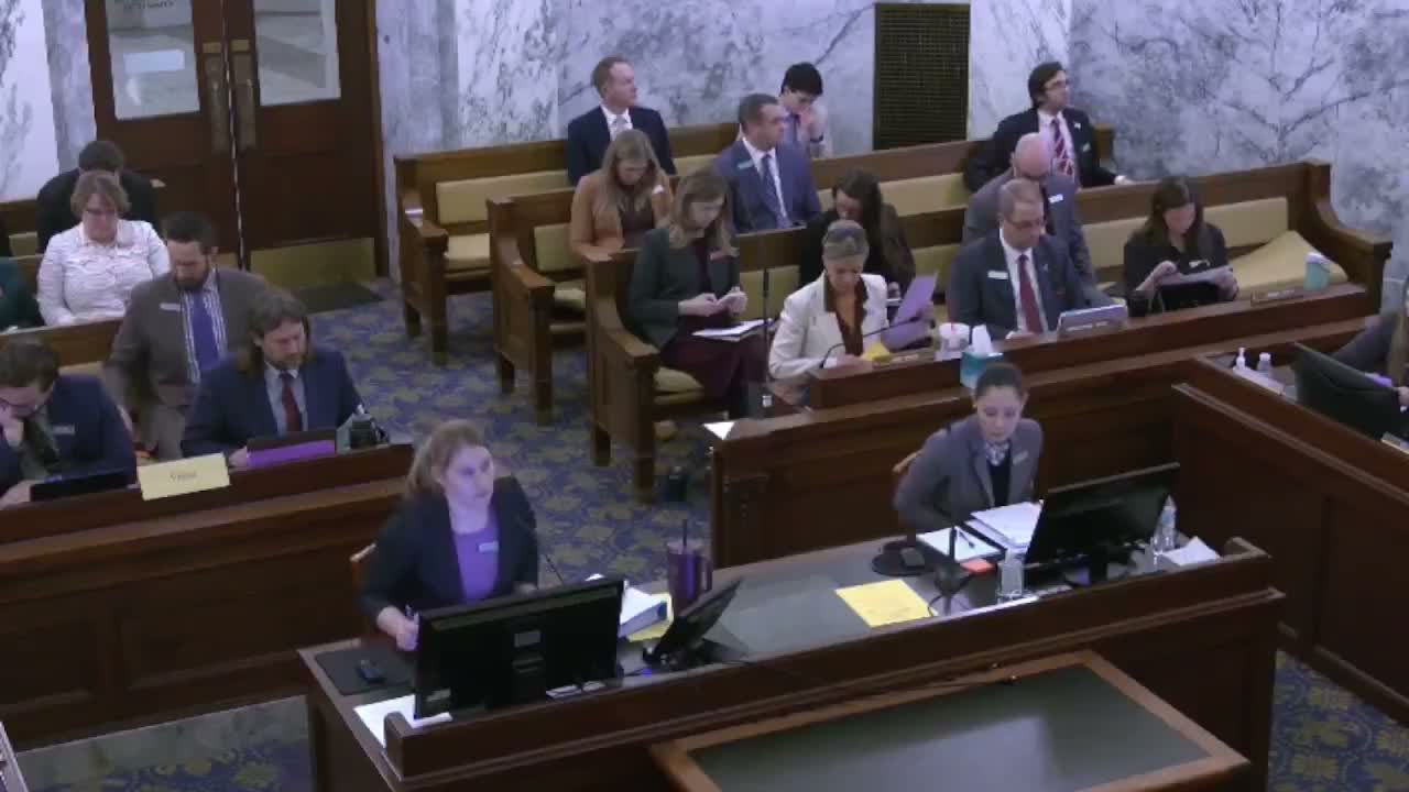 Committee narrows transfer-exemption language and restores $60,000 to Domestic Violence Council