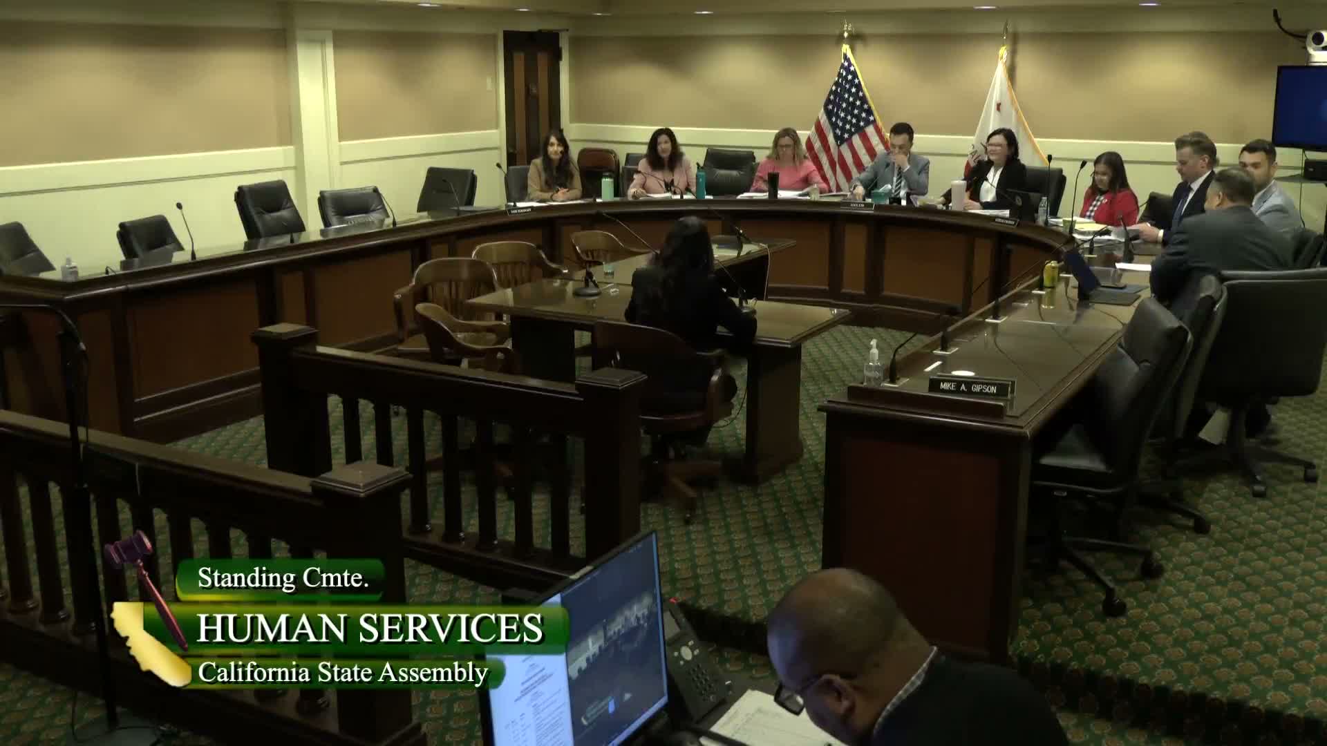 Assembly Human Services advances a package of child‑ and family‑focused bills to appropriations and policy committees