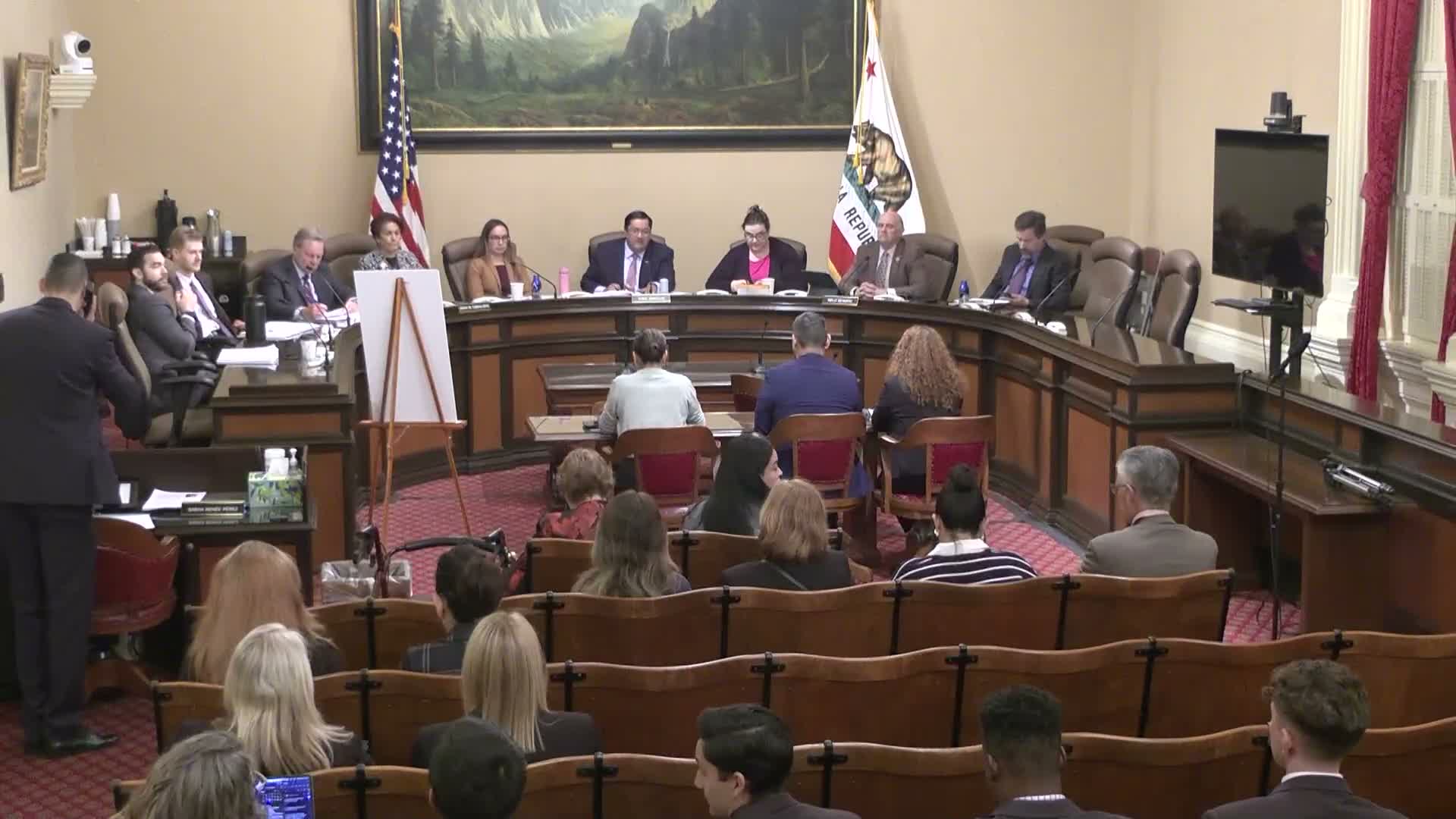 Senate panel advances bill to restrict use of flashbang devices and ban them for immigration enforcement